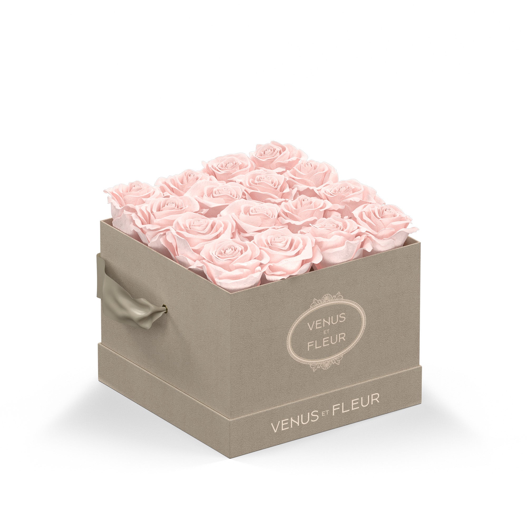 smallsquare-creamsuede-roses-blush.jpg