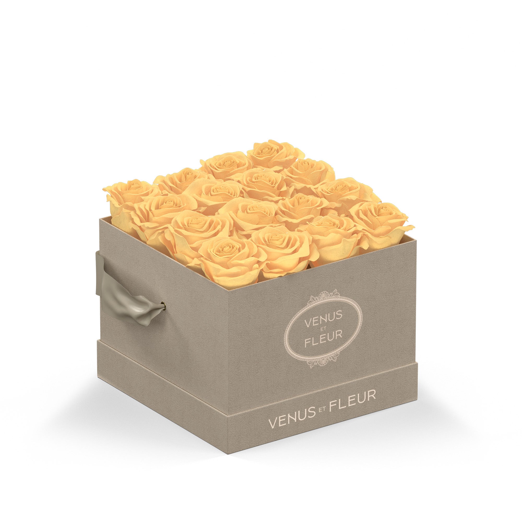 smallsquare-creamsuede-roses-champagne.jpg
