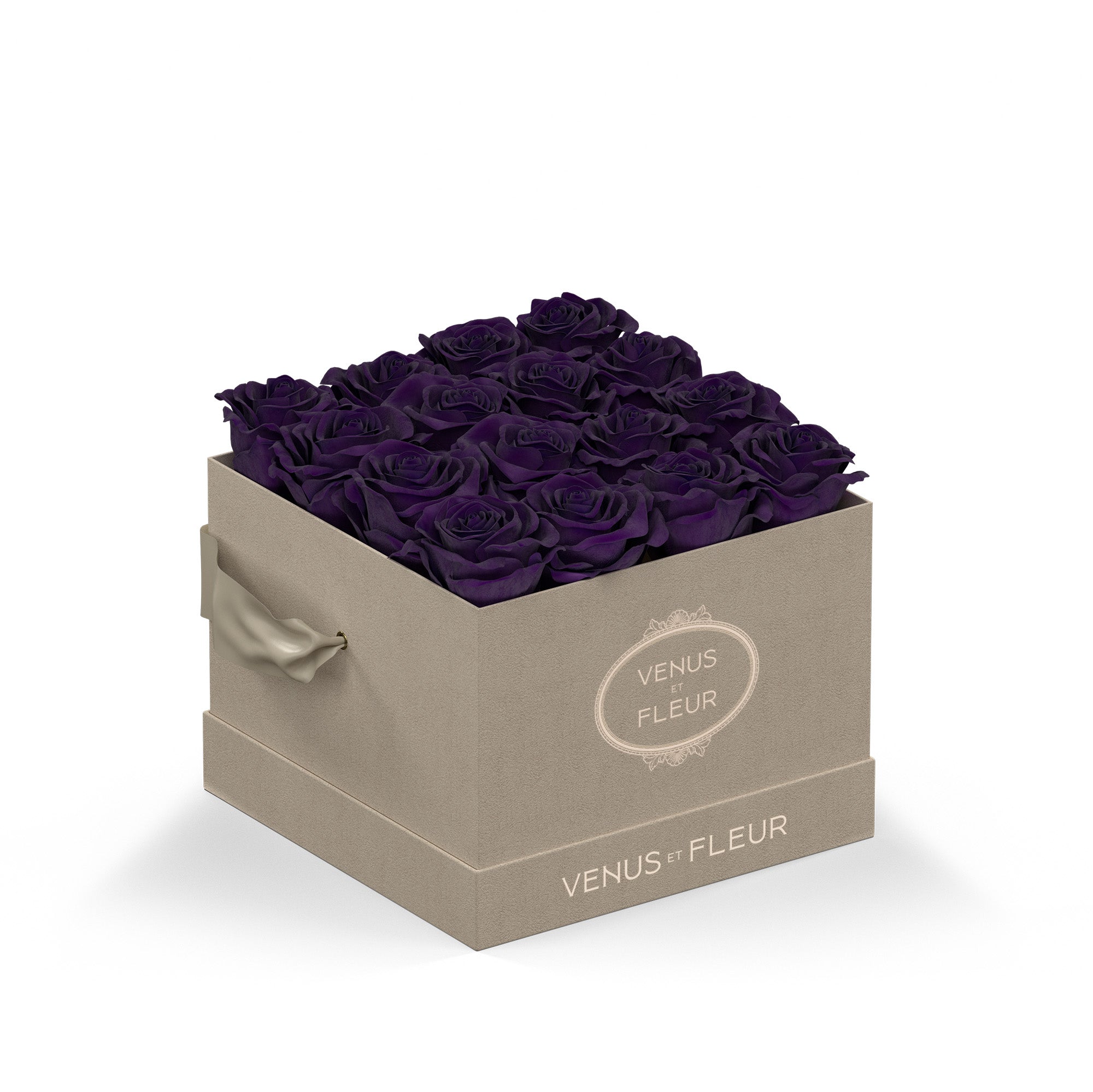 smallsquare-creamsuede-roses-deeppurple.jpg