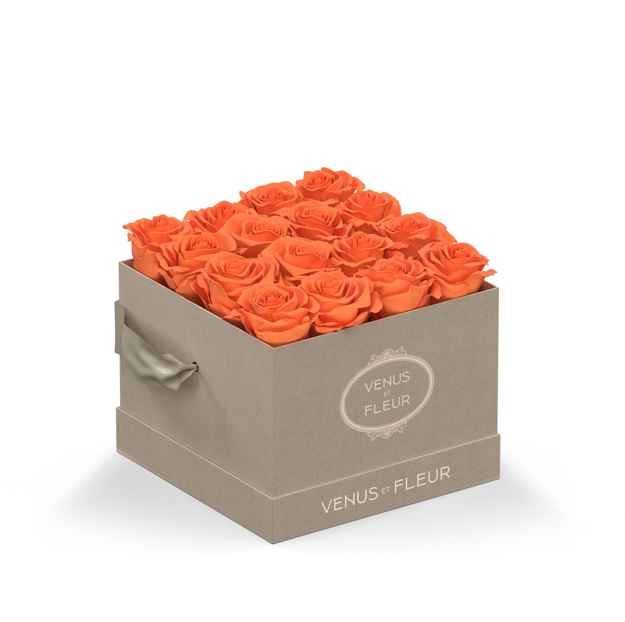 smallsquare-creamsuede-roses-papaya.jpg