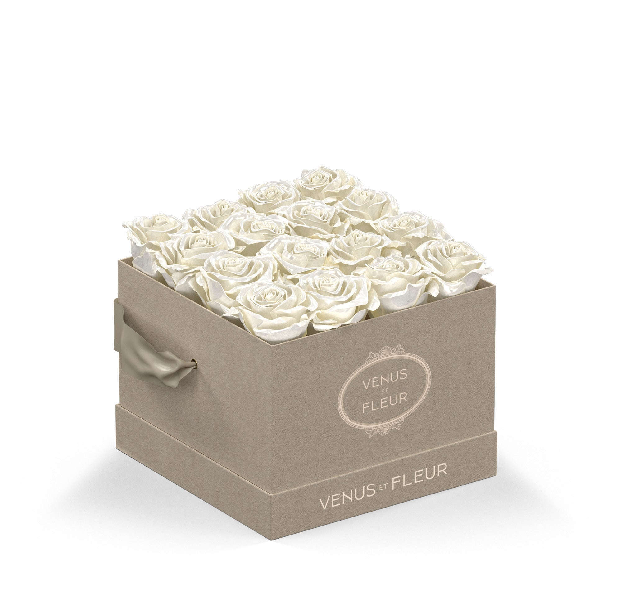 smallsquare-creamsuede-roses-pearlsheen.jpg