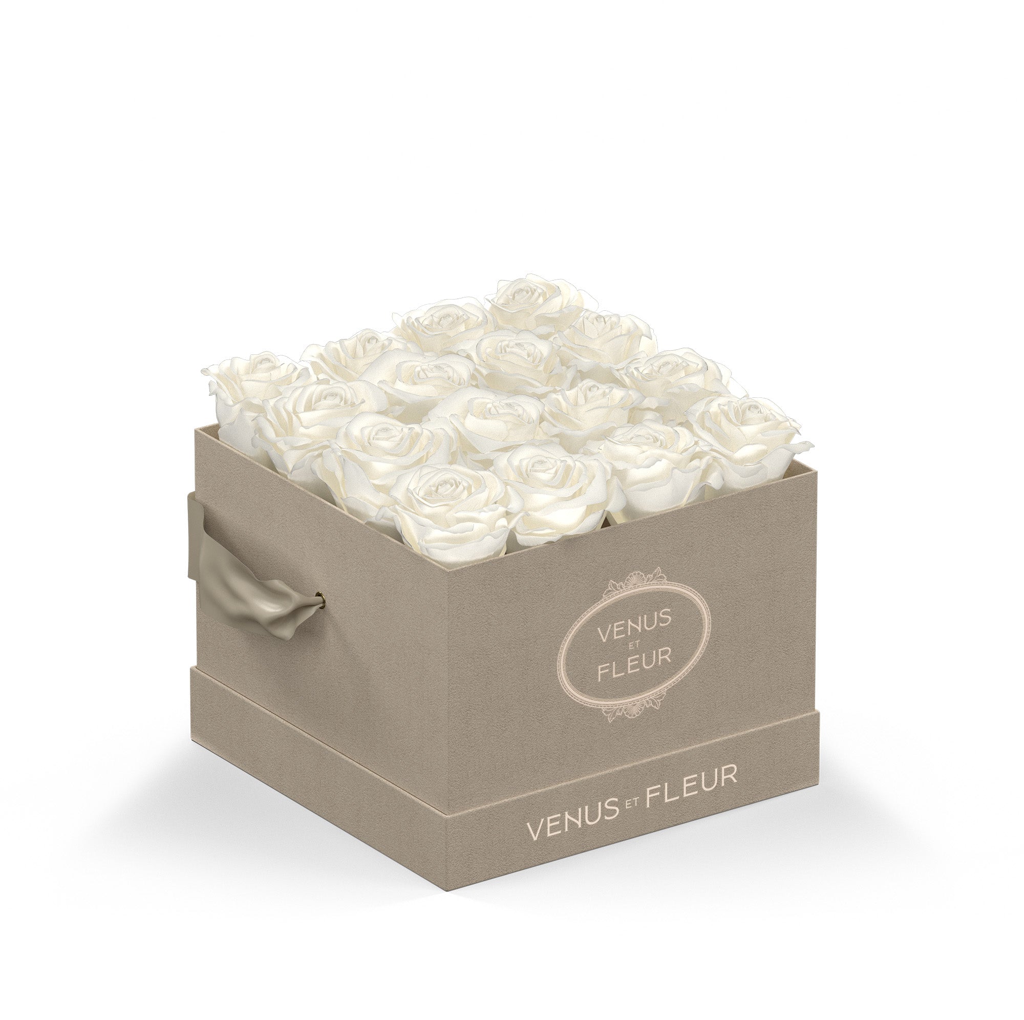 smallsquare-creamsuede-roses-purewhite.jpg