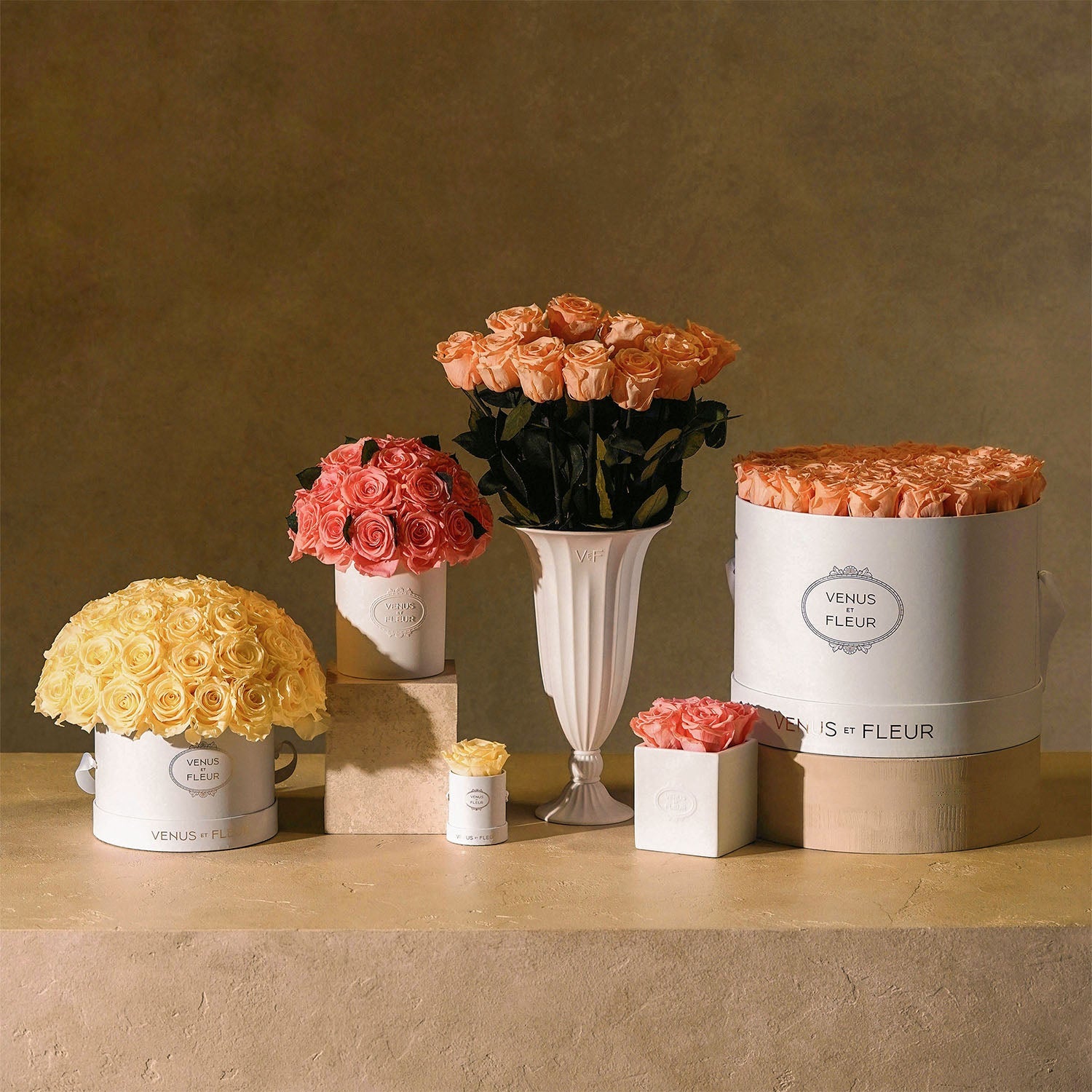 springcolor2371.jpg